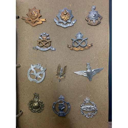 57 - Cap badges, large mixed collection in organised album and loose with many examples of better. Includ... 