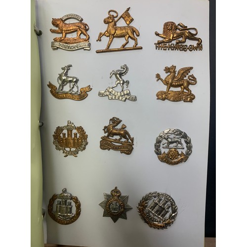 57 - Cap badges, large mixed collection in organised album and loose with many examples of better. Includ... 