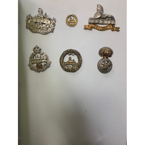 57 - Cap badges, large mixed collection in organised album and loose with many examples of better. Includ... 