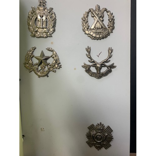 57 - Cap badges, large mixed collection in organised album and loose with many examples of better. Includ... 