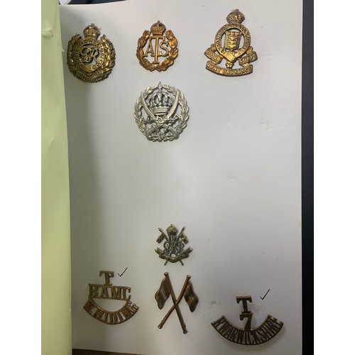 57 - Cap badges, large mixed collection in organised album and loose with many examples of better. Includ... 