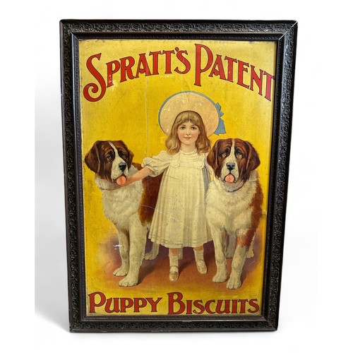 259 - Delightful Early 20th Century Spratt's Patent Puppy Biscuits framed poster featuring young girl with... 