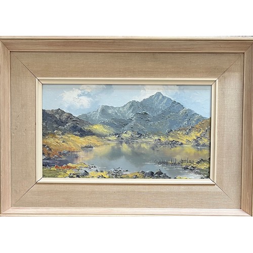 440 - Charles Wyatt Warren (Welsh 1908-1993), mountainous landscape oil on board. Framed, signed to lower ... 