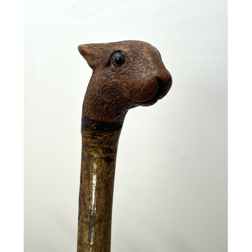 147 - A Brigg carved squirrel head walking stick with glass eyes, stamped Brigg. Length 92cm.