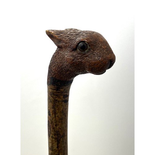 147 - A Brigg carved squirrel head walking stick with glass eyes, stamped Brigg. Length 92cm.