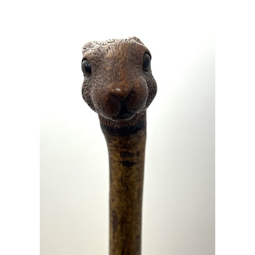 147 - A Brigg carved squirrel head walking stick with glass eyes, stamped Brigg. Length 92cm.