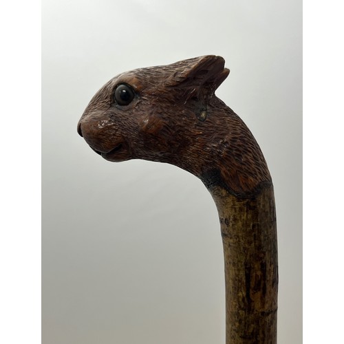 147 - A Brigg carved squirrel head walking stick with glass eyes, stamped Brigg. Length 92cm.