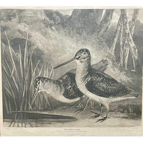 384 - Charles Turner (British, 1777-1857), ‘Woodcocks’ 4th Plate of the British Feather Game. Proof plate.... 