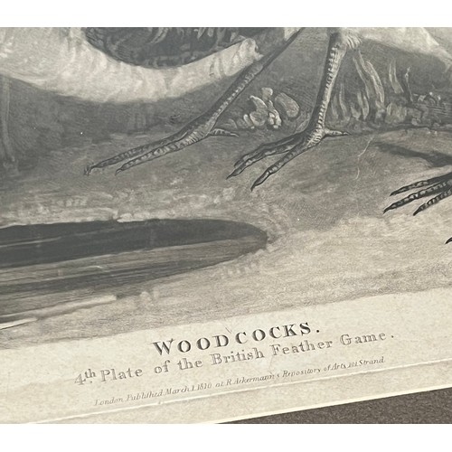 384 - Charles Turner (British, 1777-1857), ‘Woodcocks’ 4th Plate of the British Feather Game. Proof plate.... 