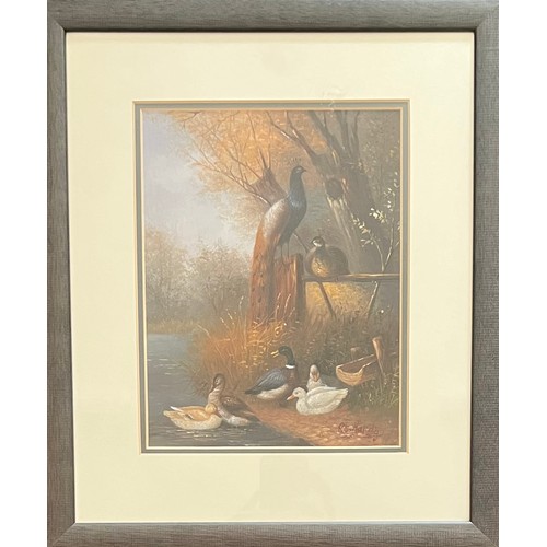 431 - RC Hardy (British, 20th Century) Pheasants and ducks oil on metal. Signed to lower right, possibly R... 