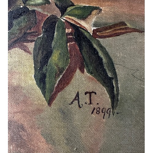 427 - 19th Century oil on canvas still life, signed with initials A.T. and dated 1899. 24cm x 42cm, frame ... 