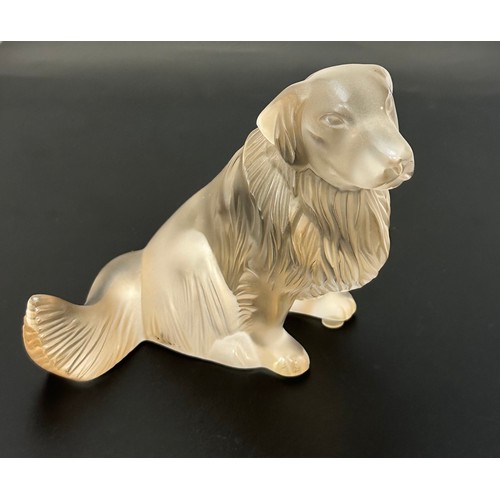 379 - Lalique, frosted glass Golden Retriever sculpture. Etched to the base for Lalique France 2017. Heigh... 