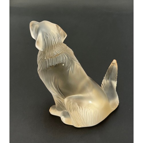 379 - Lalique, frosted glass Golden Retriever sculpture. Etched to the base for Lalique France 2017. Heigh... 