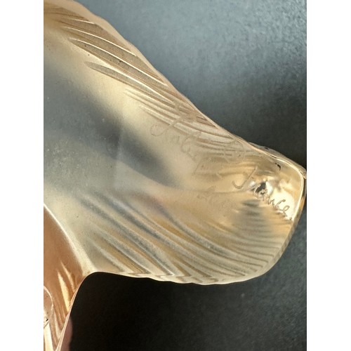 379 - Lalique, frosted glass Golden Retriever sculpture. Etched to the base for Lalique France 2017. Heigh... 