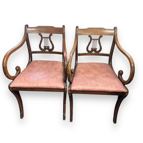 467 - A Pair Of Regency Style Harp Back Carver Chairs. Both chairs have pink vinyl covered padded seats. H... 