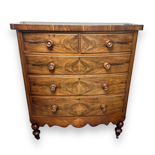 468 - Large North Country mahogany bowfronted chest of drawers, with 2 short over 3 longer drawers, handle... 