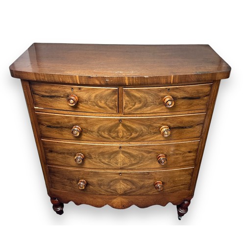 468 - Large North Country mahogany bowfronted chest of drawers, with 2 short over 3 longer drawers, handle... 