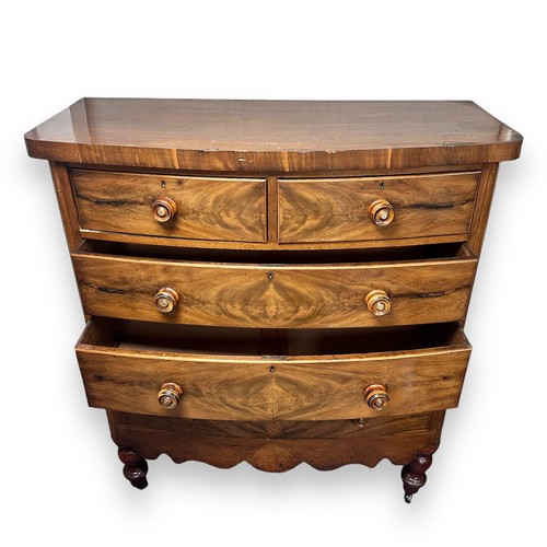 468 - Large North Country mahogany bowfronted chest of drawers, with 2 short over 3 longer drawers, handle... 