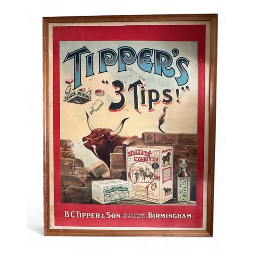 252 - Original stone lithograph poster. It is from B.C. Tipper and Son veterinary Works company in Birming... 