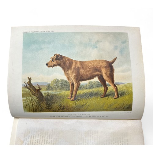 503 - SHAW, VERO. The Illustrated Book of the Dog by Vero Shaw. Published by Cassell, Galpin & Co [London]... 