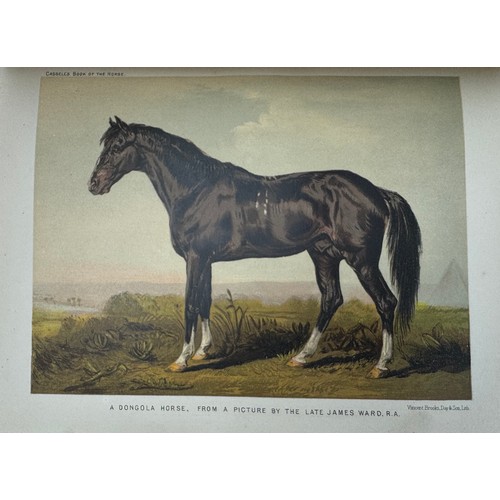 1074 - Sidney, S - The book of the Horse - Two different Editions.
Sidney, S. - The Book of the Horse, (thr... 