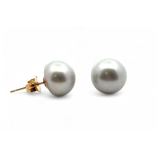 19 - A pair of 9ct yellow gold studs set with oblate spheroid grey cultured pearls.