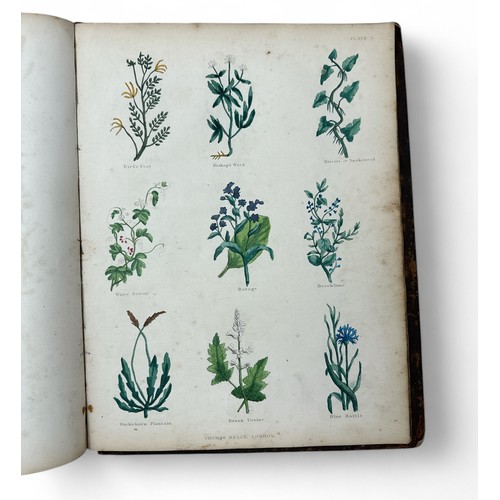 368 - Culpeper, Nicholas. The Complete Herbal by Nicholas Culpeper (1850); to which is now added, upwards ... 