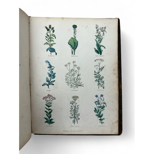 368 - Culpeper, Nicholas. The Complete Herbal by Nicholas Culpeper (1850); to which is now added, upwards ... 