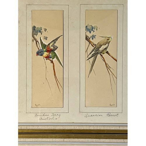 387 - British School 19th / 20th Century, set of twelve miniature ornithological watercolours of various b... 