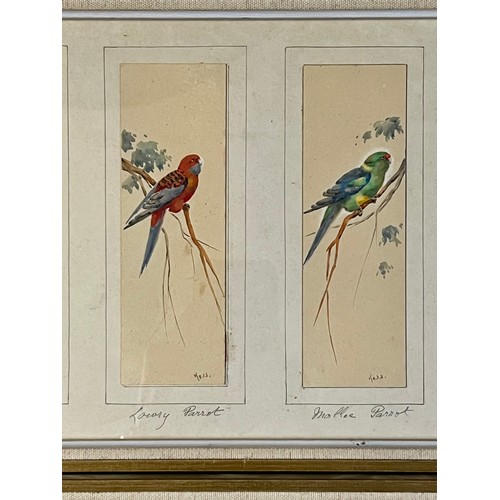 387 - British School 19th / 20th Century, set of twelve miniature ornithological watercolours of various b... 