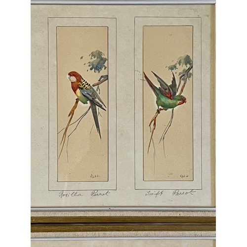 387 - British School 19th / 20th Century, set of twelve miniature ornithological watercolours of various b... 