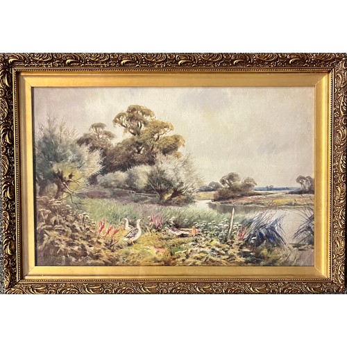 385 - Alexander Molyneux-Stannard (British, 1878-1975), ducks by a pond watercolour on paper. Signed lower... 