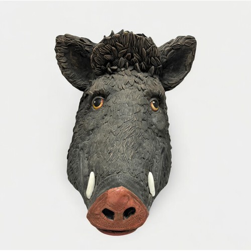 33 - Terry Webster (British, 1941-2024), 
Boars Head, 
Paper mâché, 
37cm.