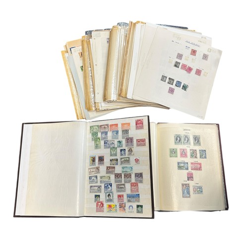 Lot 25        