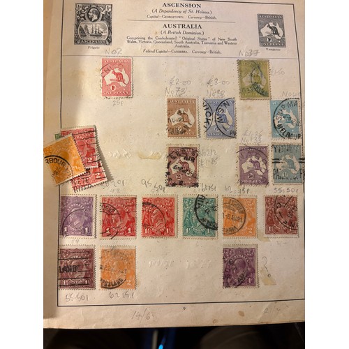 Lot 24        