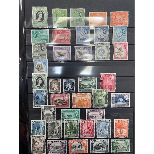 Lot 40        