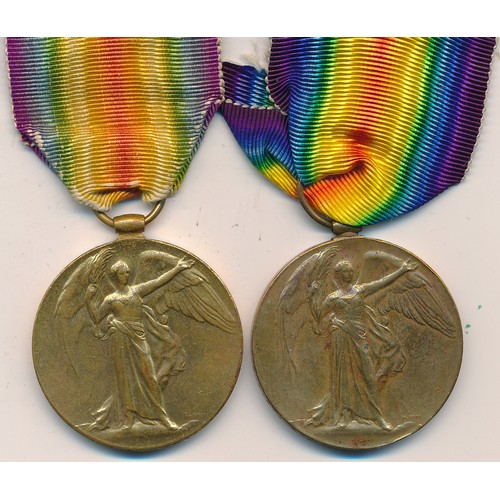 Lot 29        