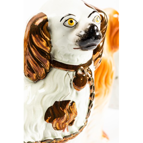 539 - Staffordshire, a range of Staffordshire spaniel figures, four dogs and one jug. Five total. (5)