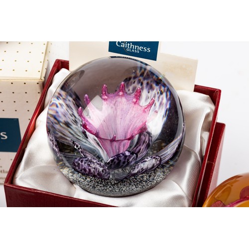 643 - Ten paperweights to include 9 Caithness examples - Fireball, Myriad, Kaleidoscope, Mooncrystal, Life... 