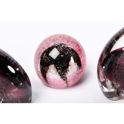 642 - A collection of nine glass paperweights, includes a Caaithness titled 