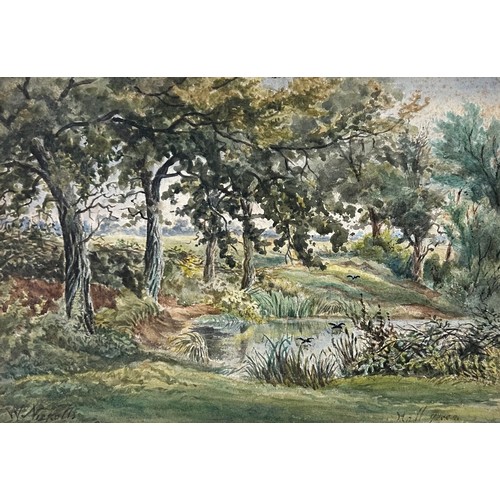 Lot 808       