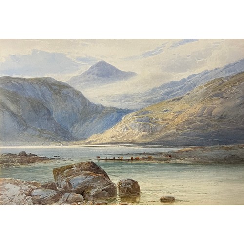 Lot 827       