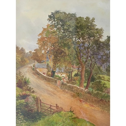 Lot 833       