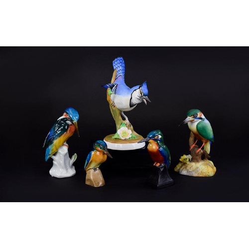 706 - Five Porcelain Birds Kingfisher by Karl Ens, Royal Crown Derby, Doulton ( Unmarked ) + One Other, Al... 