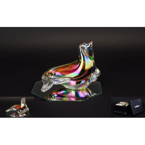 711 - Art Glass Sea Lion Figure Hand blown figure by Svaja, housed in original black presentation box. Fin... 