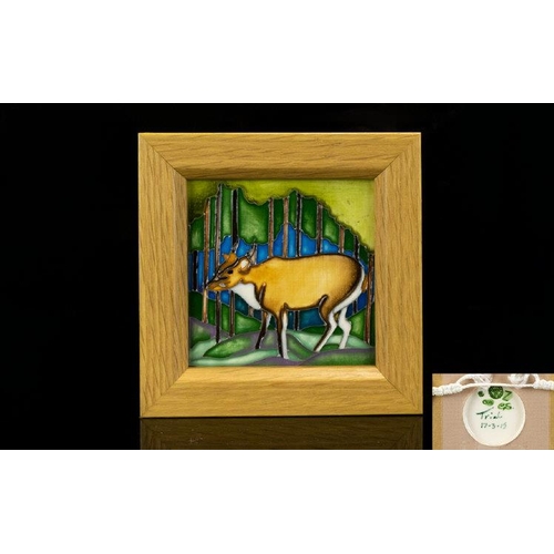 477 - Moorcroft - Framed Trial Plaque ' Impala ' Design. Date 17.3.15. Size 5.5 x 5.5 Inches & Includes Wo... 