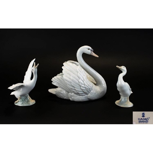 507 - Lladro - Large Porcelain Swan Figurine ' Swan with Wings Spread ' Model No 5231. Issued 1984 - Retir... 