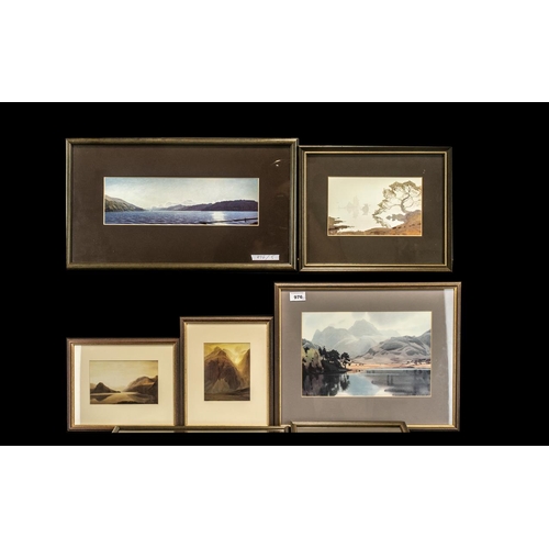 Lot 976       