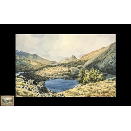 Lot 933       