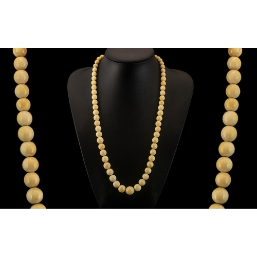 126 - A Wonderful 19th Century Graduated Ivory Bead Necklace, Very Tactile and of Pleasing Proportions, Sc... 